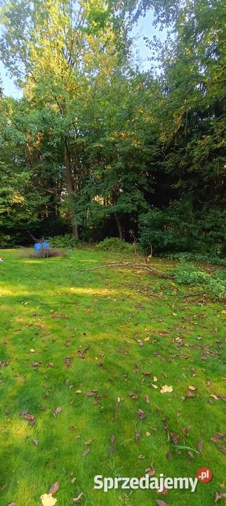 Sprzątanie piwnic i garaży Sulejówek