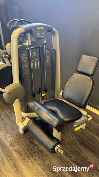 Zestaw maszyn Technogym Selection 17 sztuk zachodniopomorskie Wałcz