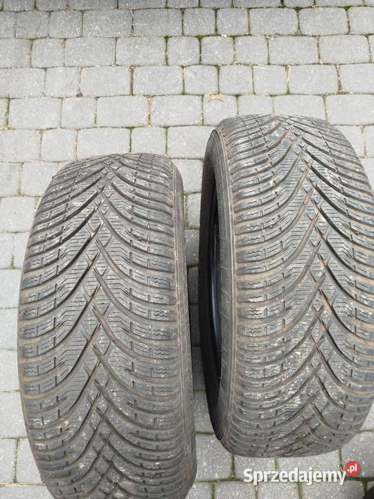 2156016 Kleber Zima 65mm kujawsko-pomorskie Inowrocław