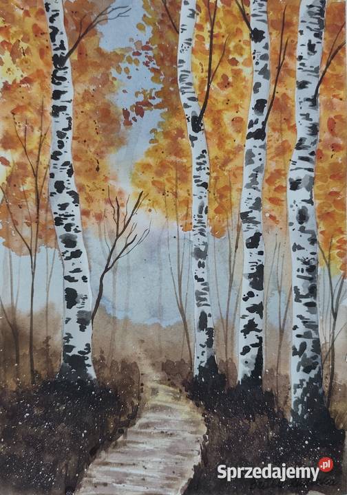 Akwarela Akwarelka Obraz pt Brzozy 073