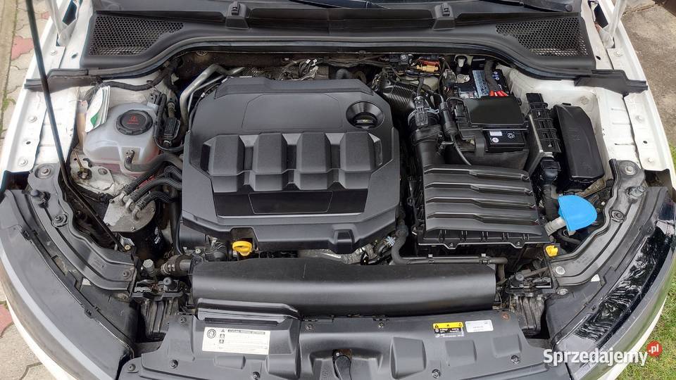 Skoda Scala 16 TDI SCR Ambition Motoryzacja Niemodlin sprzedam