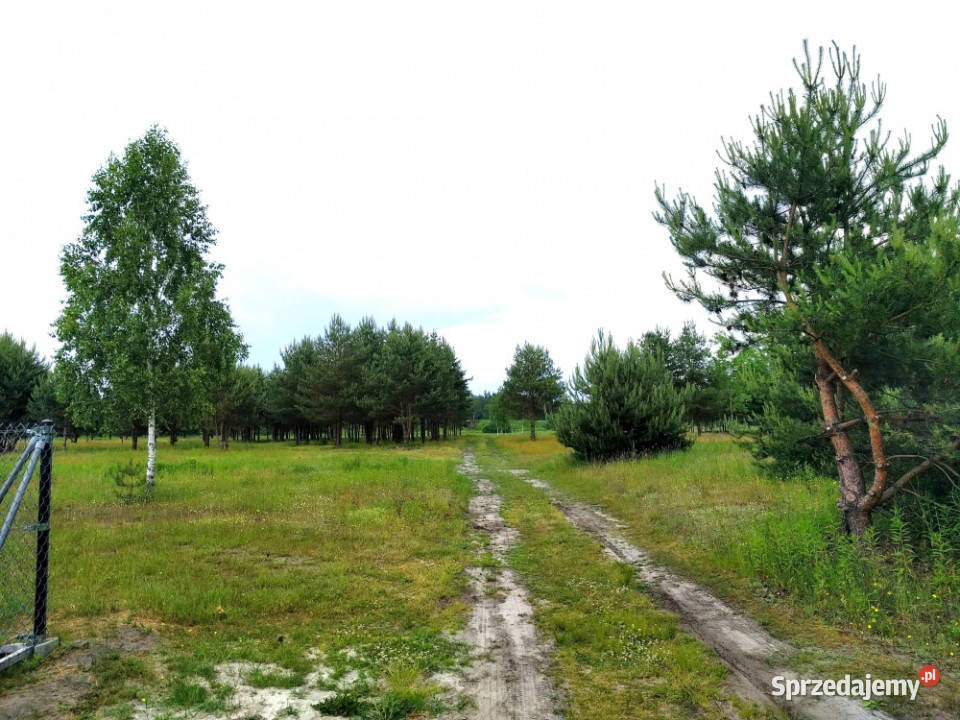 Działka budowlana NAROŻNA 1200 m2 Góra Kalwaria Krzaki Czaplinkowskie