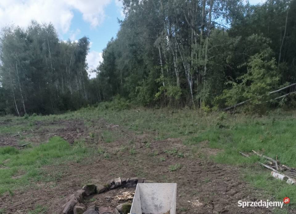 Działka 9300 M2 17 m szeroka 17m Kłucko-Kolonia