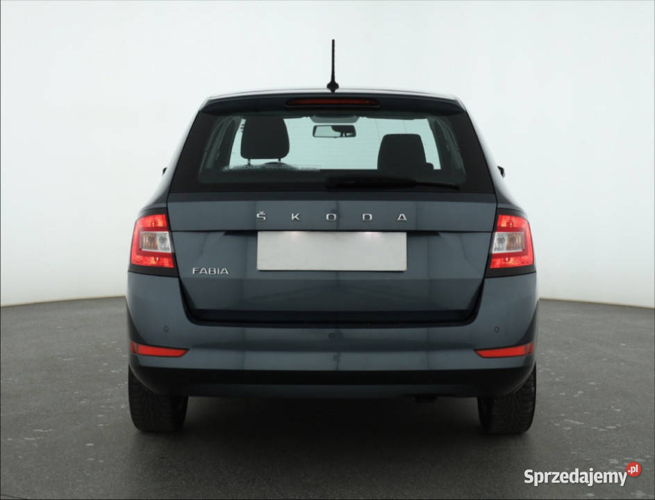 Skoda Fabia 10 TSI szary Piaseczno