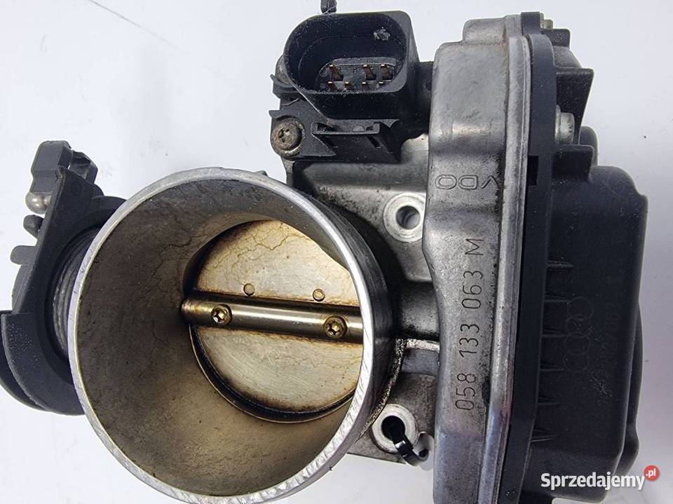 PRZEPUSTNICA VOLKSWAGEN PASSAT B5 058133063M Lipno