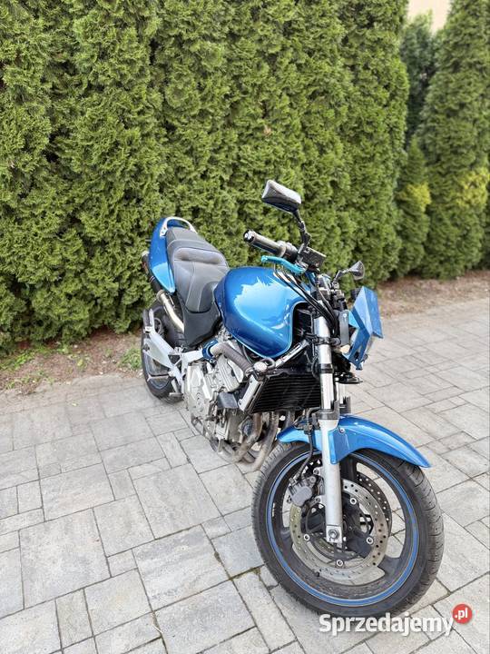 Honda Hornet 600 A2 świętokrzyskie