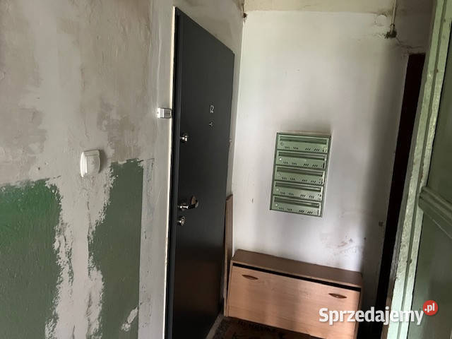 Syndyk sprzeda mieszkanie w Szczecinie Szczecin