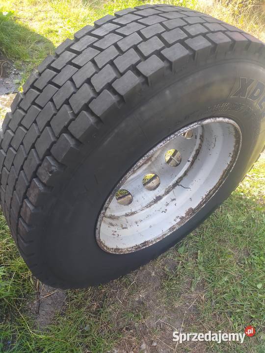 Opona Michelin Drzewica