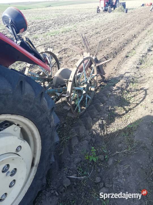 Sprzedam kopaczkę konną lubelskie Werbkowice