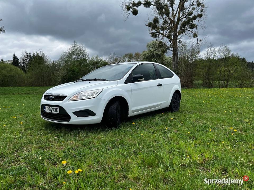 FORD FOCUS Skwierzyna