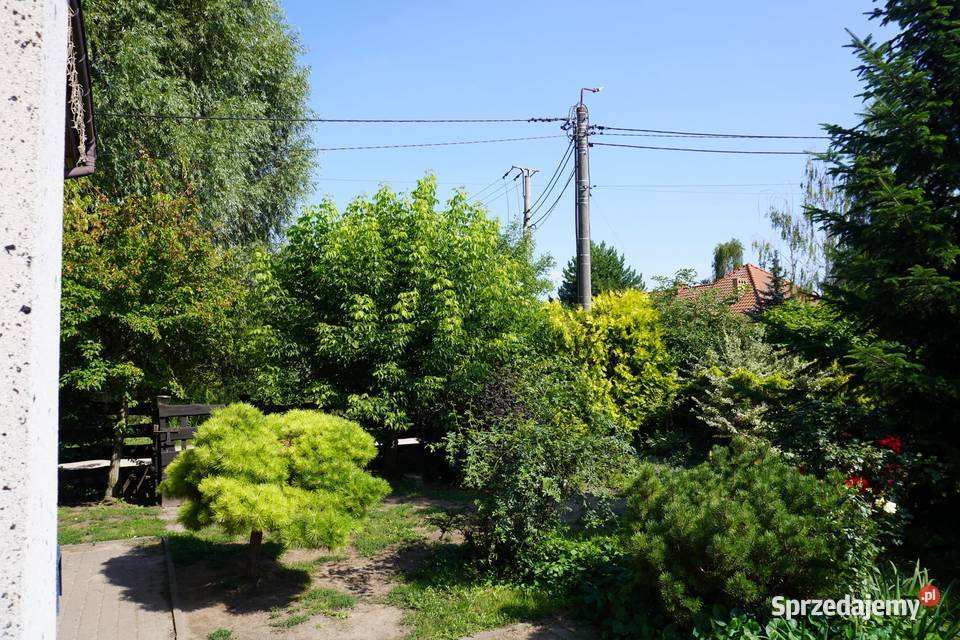Dom 150 m kw Rogozino 989m2
