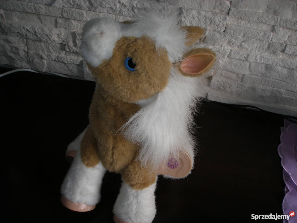 Interaktywny źrebaczek OKAZJA