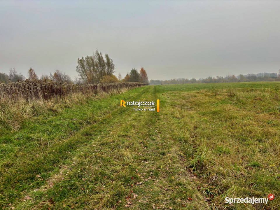 Działka 3356m2 Drewnica Zielona