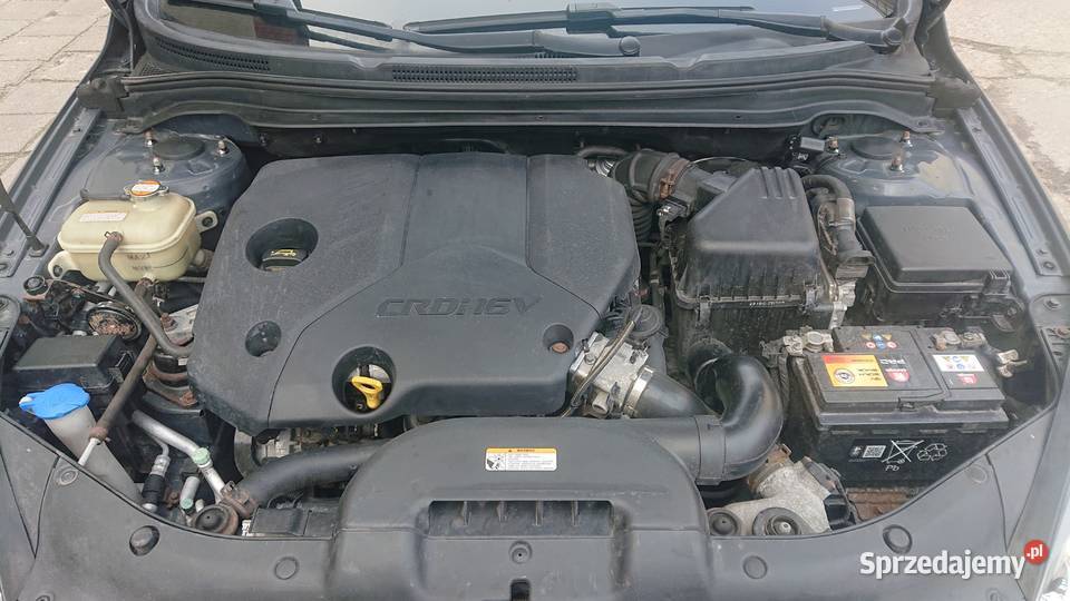 Sprzedam kia ceed kombi 16 crdi Świnoujście