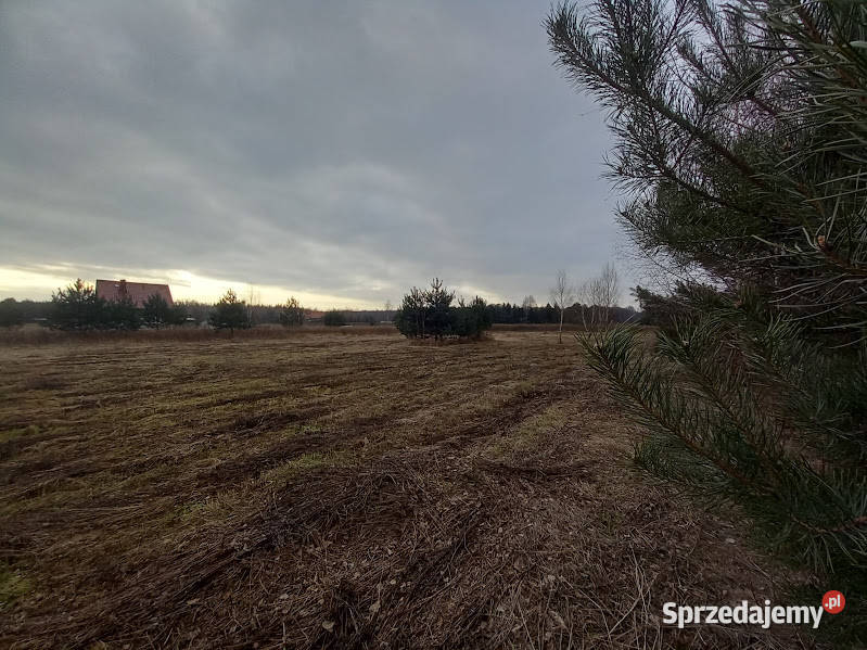 Zalesiona działka w Malerzowie wymagającego Malerzów sprzedam