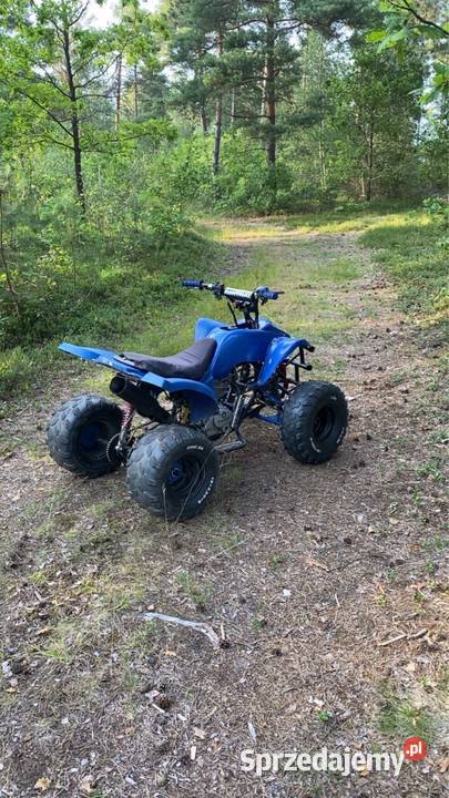 SPRZEDAM BASHAN 150