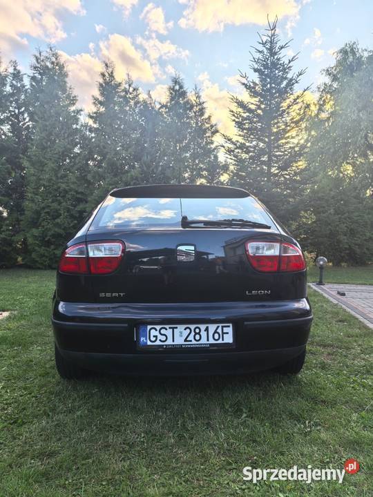 Seat Leon Starogard Gdański