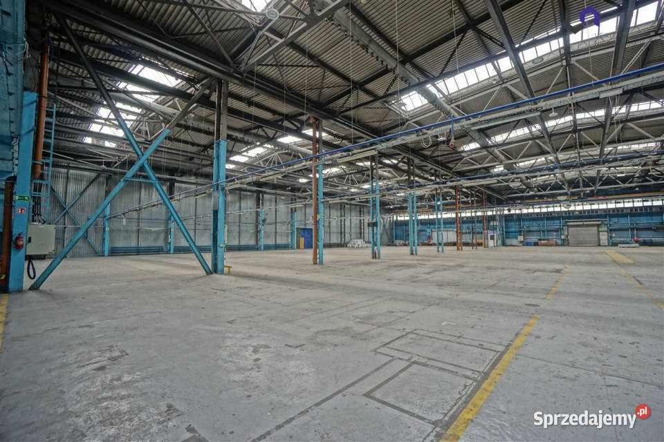 Ogłoszenie lokal 3050m2 Mikołów
