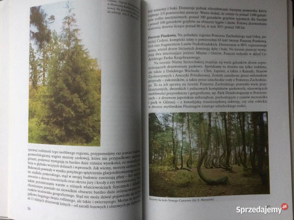 3618 Pomorze Zachodnie Antykwariat Szczecin