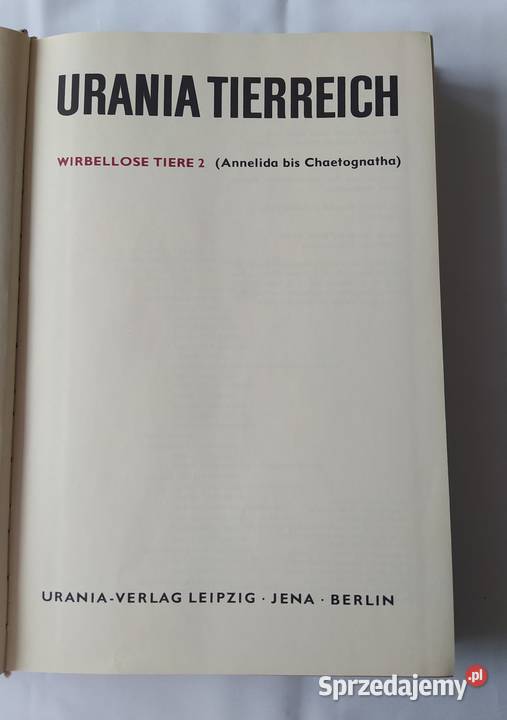 URANIA TIERREICH Annelida bis Chaetognatha sprzedam
