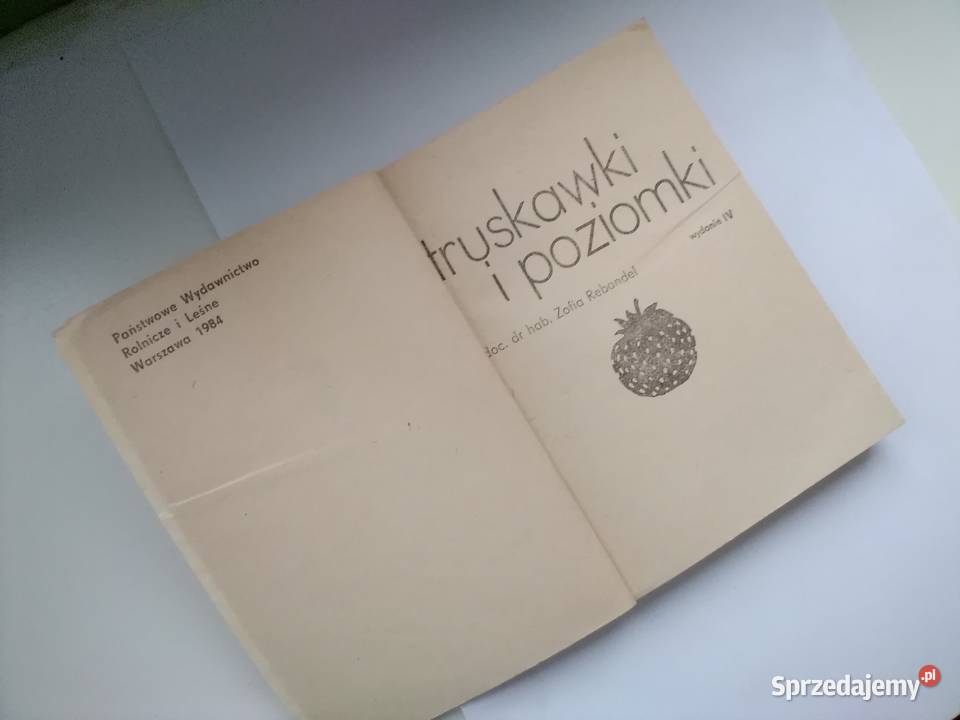 Truskawki poziomki poradnik Łódź