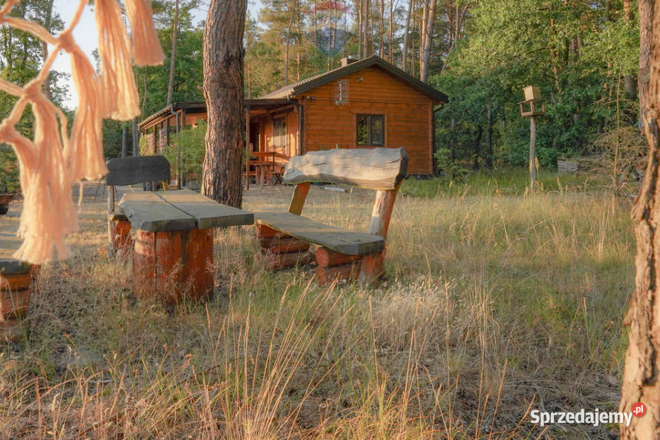 Działka leśna z domkiem na sprzedaż mieszkalny Domy mazowieckie Rozniszew
