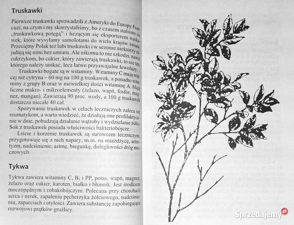 Poradnik zdrowia O sokach miodzie i wodzie w Chełm