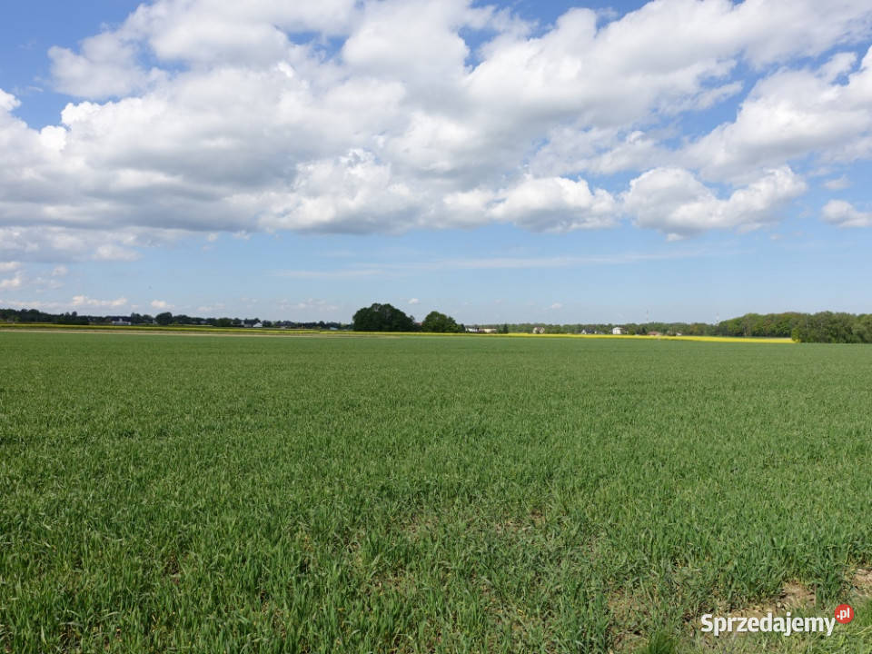 Skoczów Pruchna 115ha pod zabudowe jednorodzinną śląskie