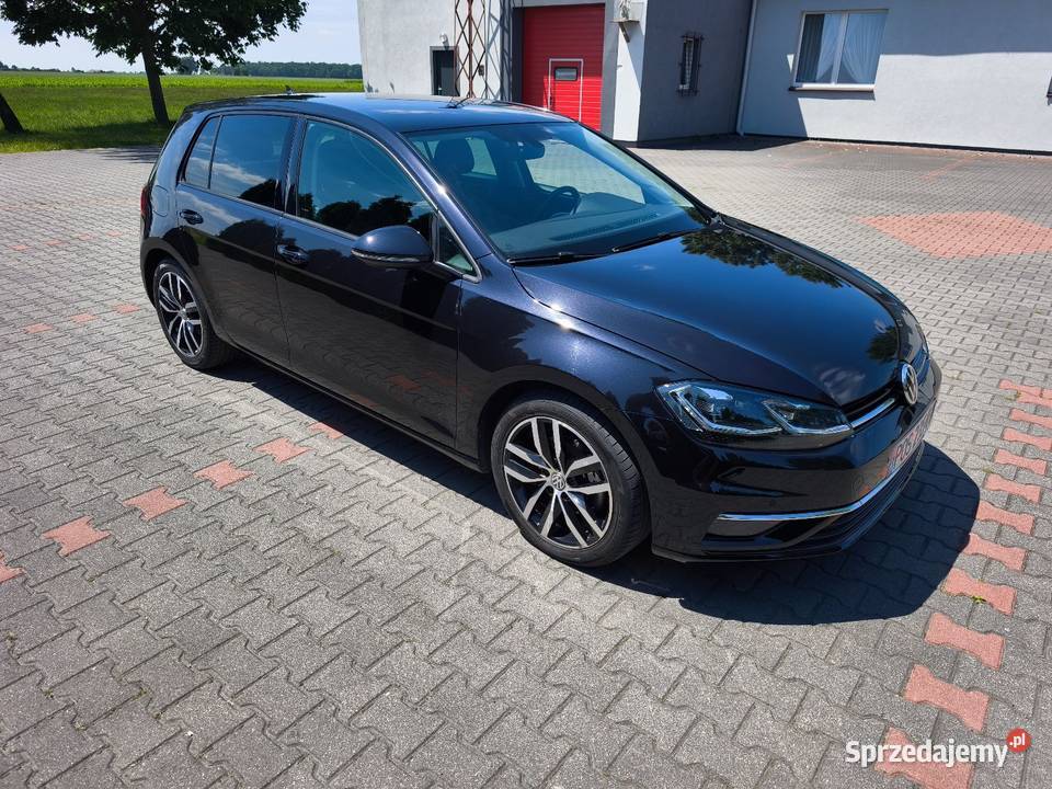 Golf VII 16 TDI DSG FUll LED 4/5 Krotoszyn