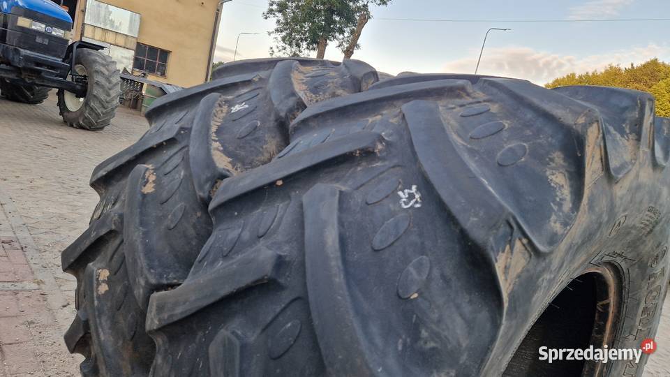 48070r24 42085r24 169r24 16924 BKT 50 bieżnik Nowe Miasto Lubawskie sprzedam