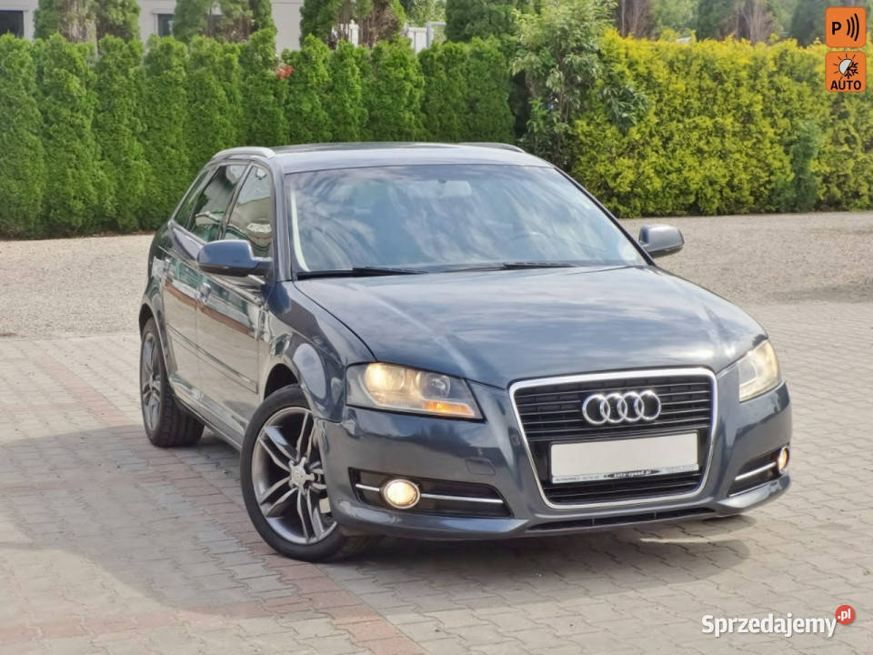 Audi A3 Klima Alu 8P 20032012 diesel Nowy Sącz