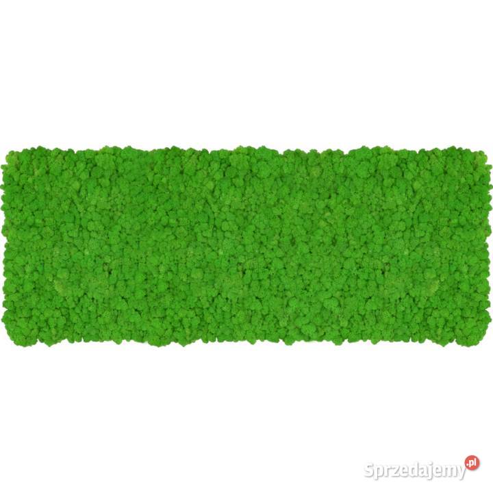 Panel z chrobotka PREMIUM Apple Green na wymiar Panele dekoracyjne Czarków