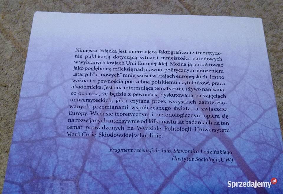 Mniejszości narodowe w państwach Unii