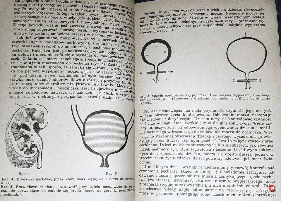 Choroby nerek u dzieci Teresa Wyszyńska Pozostałe Chełm sprzedam