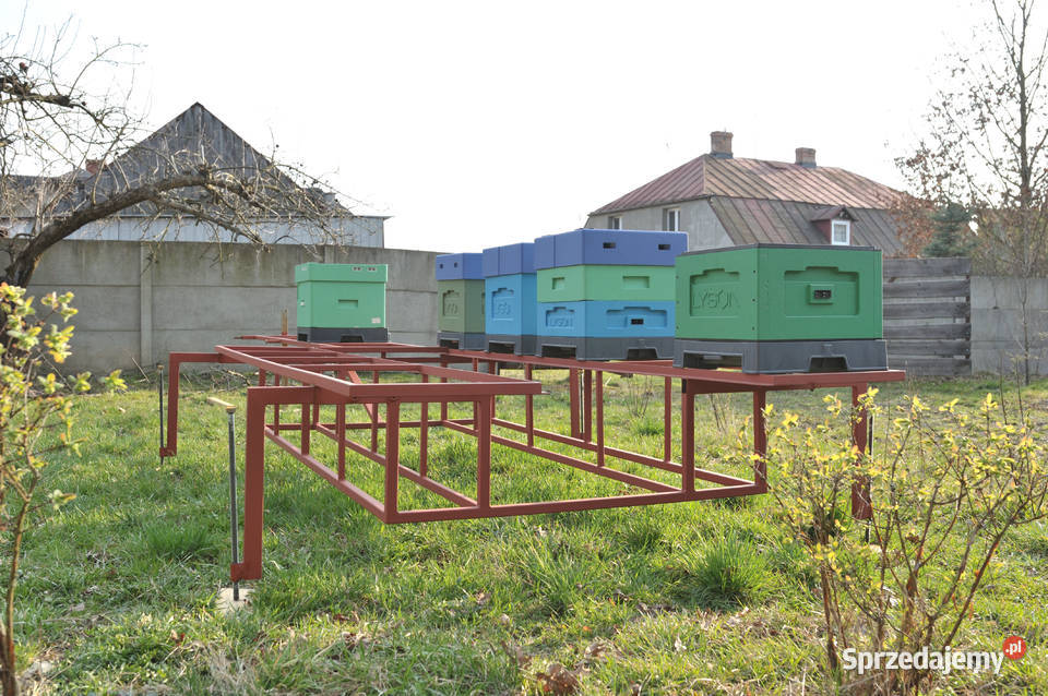 Zabudowa przyczepki platformą do przewozu uli Odrowąż