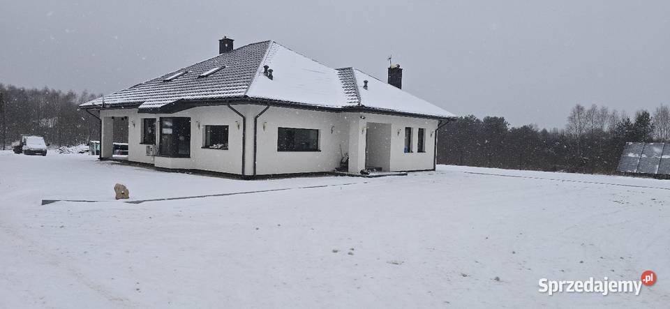 Sprzedam dom 243m2 użytkowego garaż 99m2 działka mieszkalny Sędów