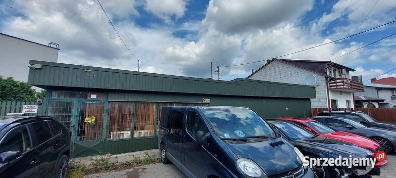 Syndyk sprzeda Ostrołęka Czeczotka sprzedam