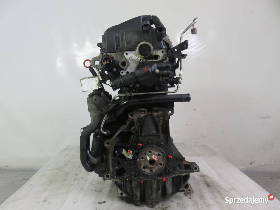 SILNIK VW CADDY III 19 TDI BLS 105 KOMPLETNY Silniki kompletne