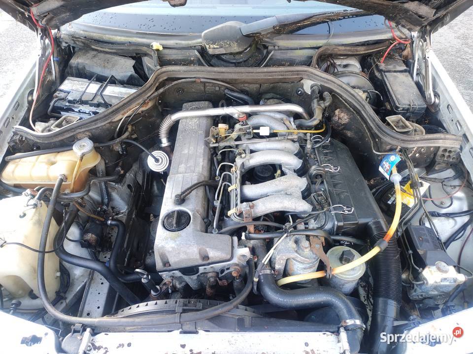 Sprzedam Mercedes W124 30d OM603 1991 nieuszkodzony Zielona Góra