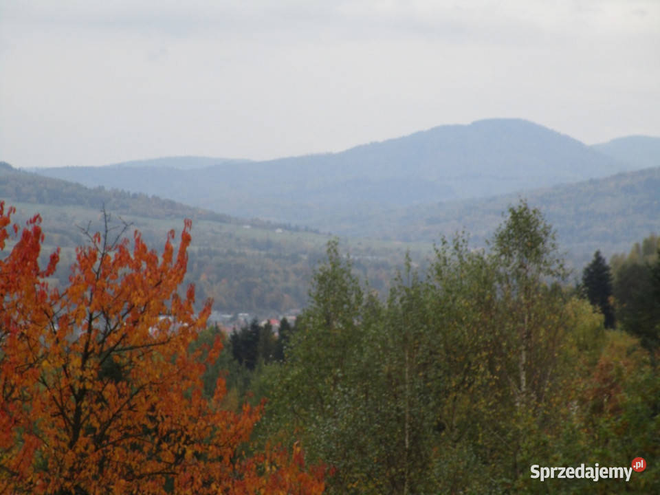 syndyk sprzeda udziały w działkach w Ciścu Cisiec sprzedam