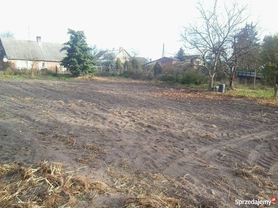 Dzialka 32000zl rolno siedliskowa siedliskowa Grunty i działki Skoraczewo
