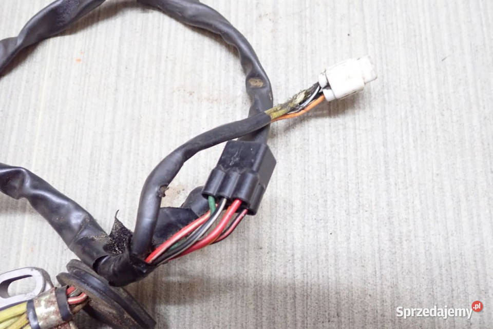 Iskrownik Impulsator Magneto Stator Uzwojenie Strzelce Krajeńskie