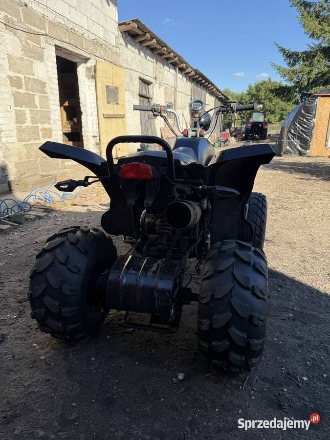 bashan 150cc Mścichy
