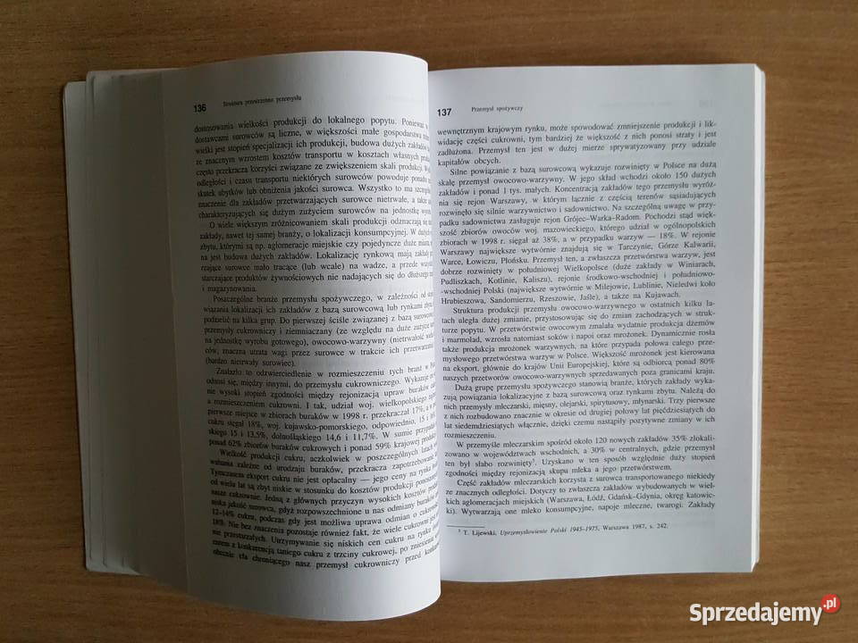 KSIĄŻKA podręcznik Geografia gospodarcza Polski wielkopolskie Złotniki sprzedam