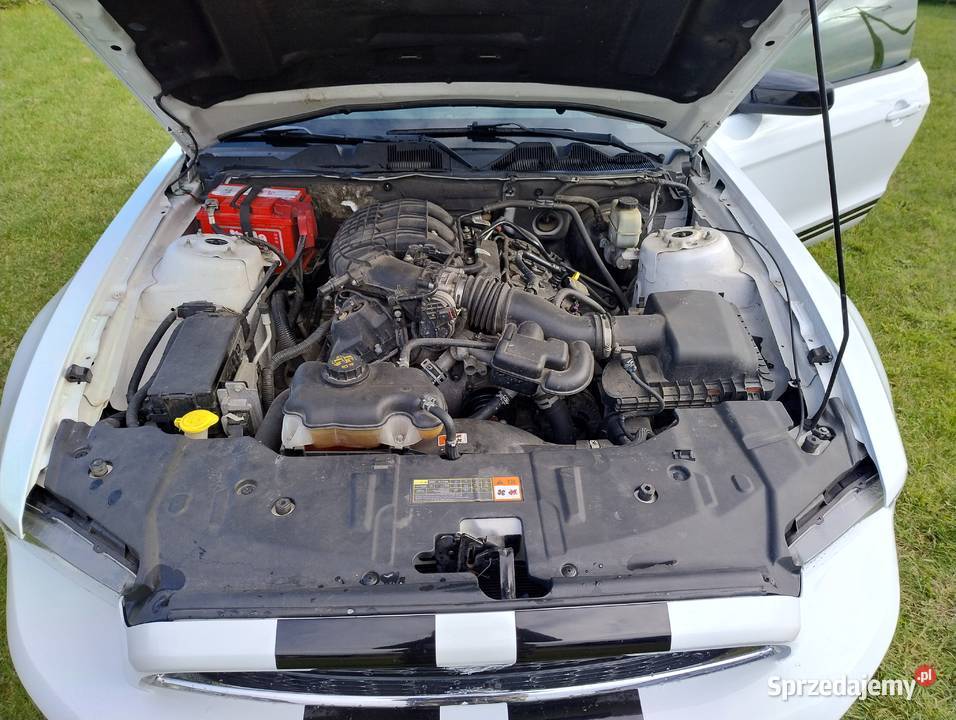 Ford Mustang 2014r 37l Gryfice