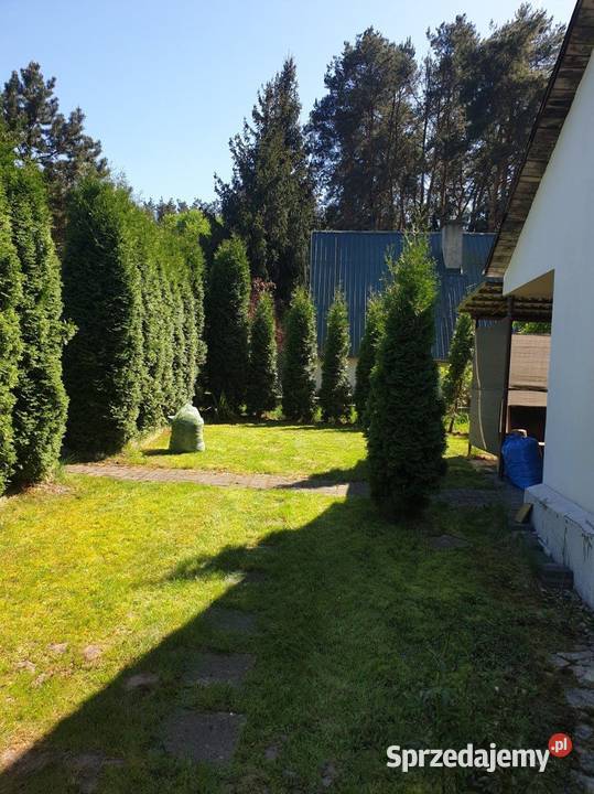 Działka z domkiem ROD przyjaźń Lublin Zalewem woda