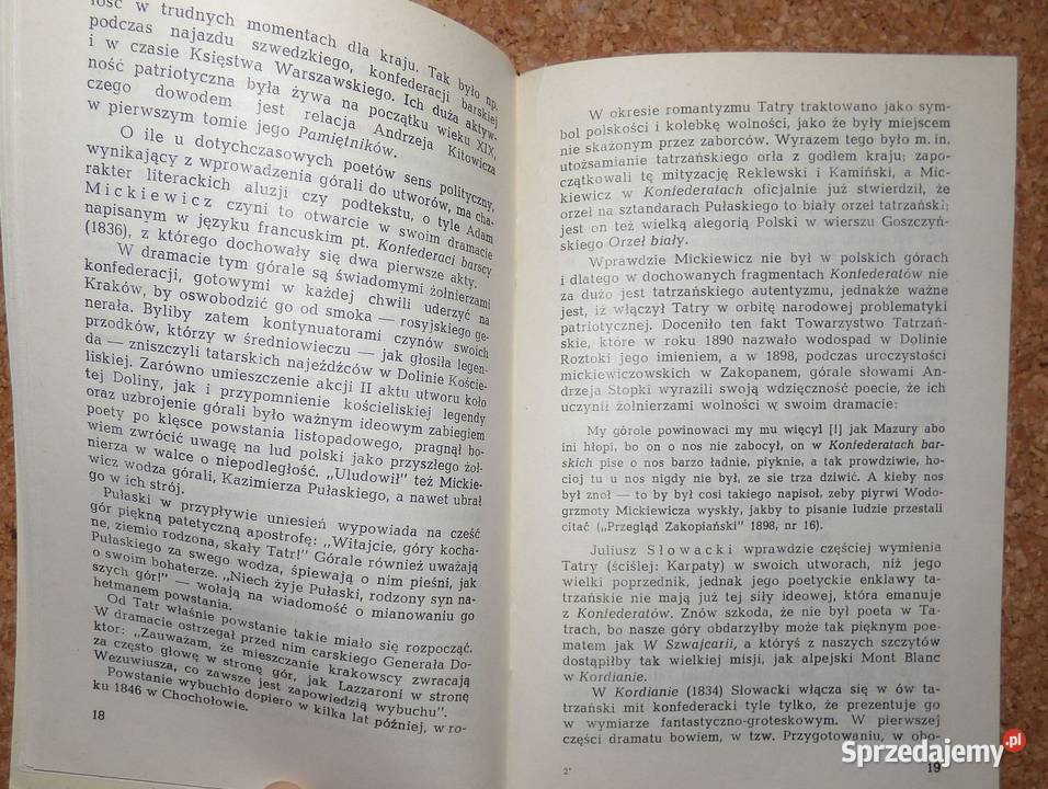 MAŁ Majda Literatura o Tatrach i Zakopanem do literaturoznawstwo