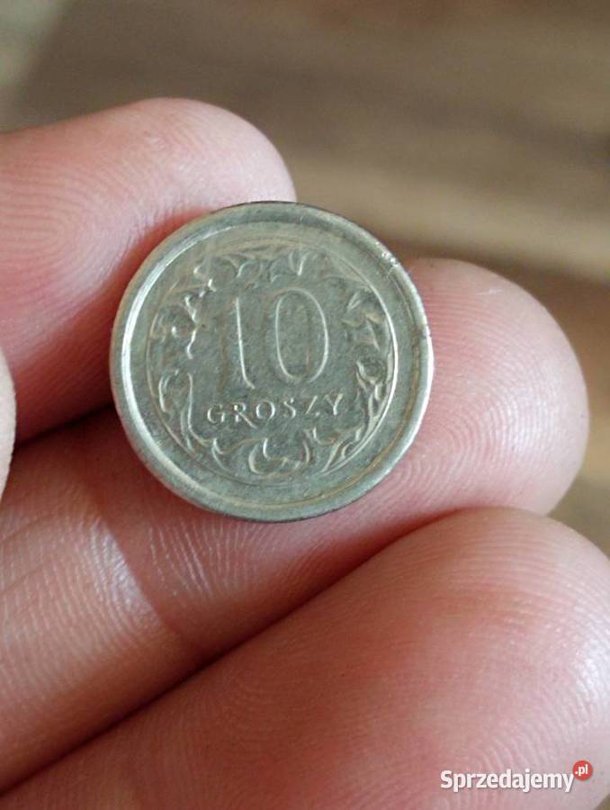 Sprzedam 10 groszy 1999 Chełm sprzedam