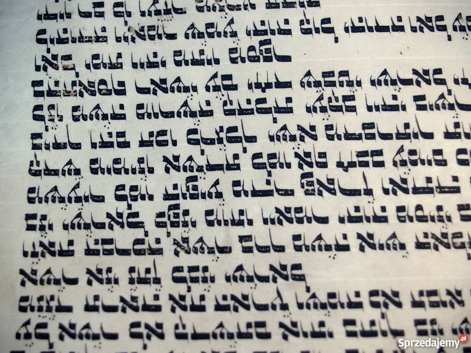 Dziewiętnastowieczna tora na pergaminie