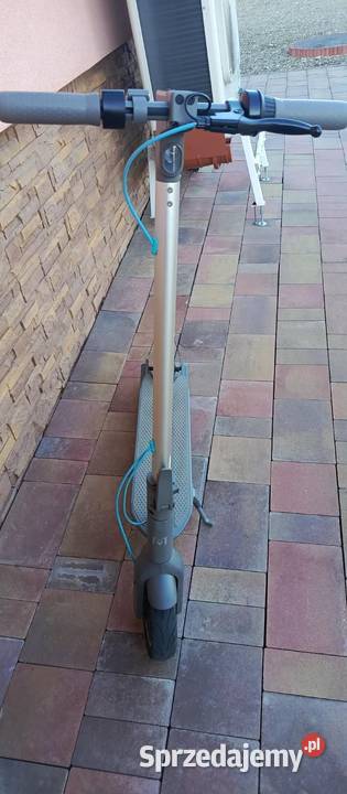 Hulajnoga motus scooty 10 Bieździedza